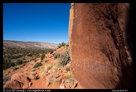 Maze petroglyphs on boulder. Vermilion Cliffs National Monument, Arizona, USA (color)