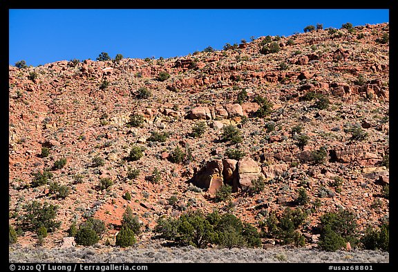 Jumble of boulders on hill including the Maze Rock Art site. Vermilion Cliffs National Monument, Arizona, USA
