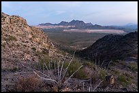 Silver Bell Mountains and mine at dawn. Ironwood Forest National Monument, Arizona, USA ( color)