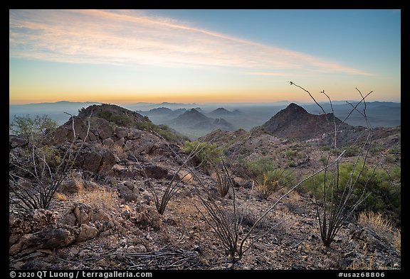 Ocotillo and desert peaks from Waterman Mountains at sunrise. Ironwood Forest National Monument, Arizona, USA