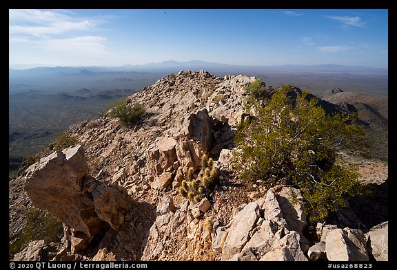 Waterman Peak summit. Ironwood Forest National Monument, Arizona, USA (color)