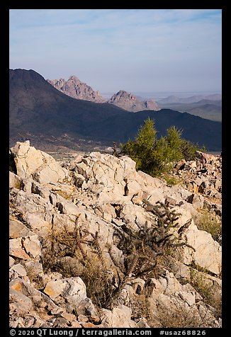 Ragged Top, and Wolcott Peak from Waterman Mountains. Ironwood Forest National Monument, Arizona, USA (color)