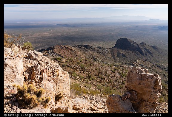 Cactus and plains from Waterman Peak summit. Ironwood Forest National Monument, Arizona, USA