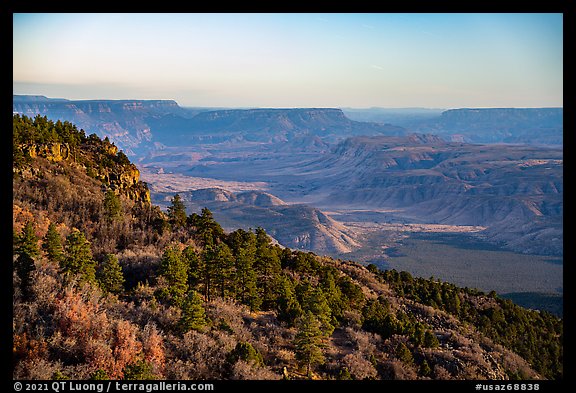 Grand Canyon from Mt Logan. Grand Canyon-Parashant National Monument, Arizona, USA