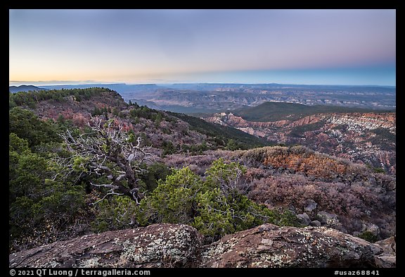 View from Mt Logan at dawn. Grand Canyon-Parashant National Monument, Arizona, USA