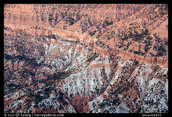 Hells Hole amphitheater detail. Grand Canyon-Parashant National Monument, Arizona, USA