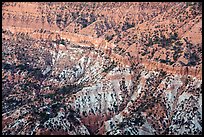 Hells Hole amphitheater detail. Grand Canyon-Parashant National Monument, Arizona, USA ( color)