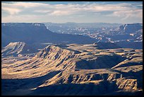 Whitmore Canyon from Mount Logan. Grand Canyon-Parashant National Monument, Arizona, USA ( color)