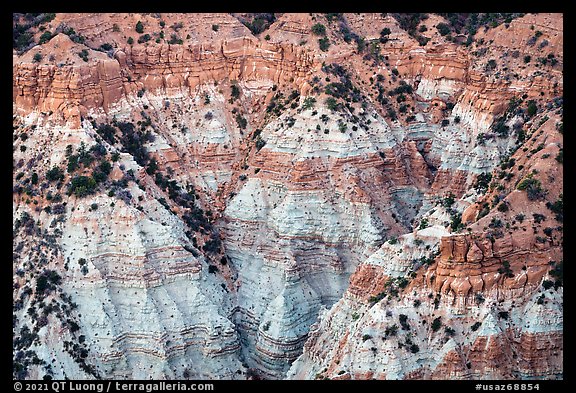 Erosion formations in Hells Hole. Grand Canyon-Parashant National Monument, Arizona, USA