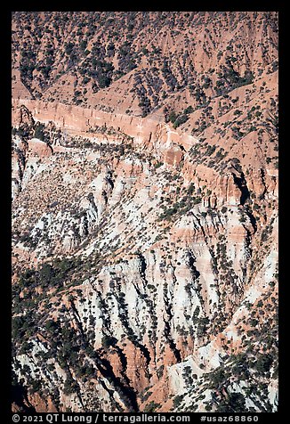 Pinnacles in Hells Hole. Grand Canyon-Parashant National Monument, Arizona, USA