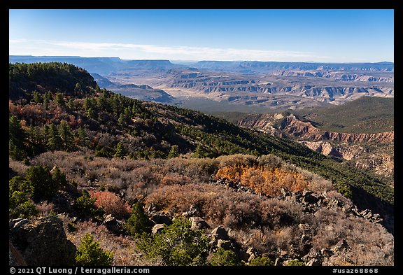 Mt Logan slopes, Grand Canyon, and Whitmore Canyon. Grand Canyon-Parashant National Monument, Arizona, USA