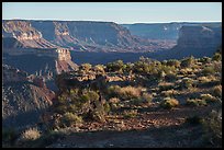 Plateau at Gunsight Point and Kanab Creek Canyon. Baaj Nwaavjo Itah Kukveni – Ancestral Footprints of the Grand Canyon National Monument, Arizona, USA ( color)