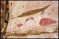 Turkey Pictographs, Snake Gulch. Baaj Nwaavjo Itah Kukveni – Ancestral Footprints of the Grand Canyon National Monument, Arizona, USA ( color)