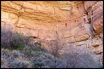 Turkey and anthropomorphic pictographs, Snake Gulch. Baaj Nwaavjo Itah Kukveni – Ancestral Footprints of the Grand Canyon National Monument, Arizona, USA ( color)