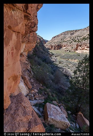 Pictographs and canyon, Snake Gulch. Baaj Nwaavjo Itah Kukveni – Ancestral Footprints of the Grand Canyon National Monument, Arizona, USA (color)