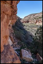 Pictographs and canyon, Snake Gulch. Baaj Nwaavjo Itah Kukveni – Ancestral Footprints of the Grand Canyon National Monument, Arizona, USA ( color)