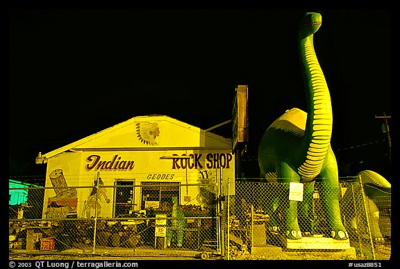 Dinosor and rock shop on route 66, Holbrook. Arizona, USA