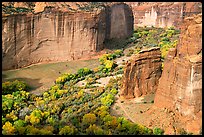 Canyon de Chelly seen from Spider Rock Overlook. Canyon de Chelly  National Monument, Arizona, USA (color)