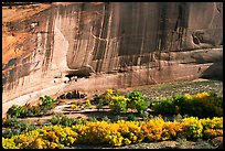 White House Anasazi ruins and wall with desert varnish. Canyon de Chelly  National Monument, Arizona, USA (color)