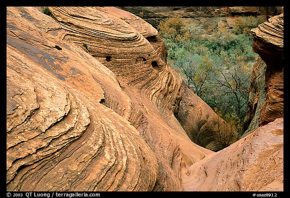 Sandstone Swirls. Canyon de Chelly  National Monument, Arizona, USA (color)