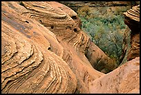 Sandstone Swirls. Canyon de Chelly  National Monument, Arizona, USA ( color)