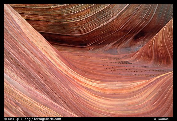 Sandstone striations in the Wave. Vermilion Cliffs National Monument, Arizona, USA