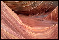 Sandstone striations in the Wave. Coyote Buttes, Vermilion cliffs National Monument, Arizona, USA (color)