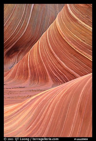 Ondulating rock formation, the Wave. Coyote Buttes, Vermilion cliffs National Monument, Arizona, USA