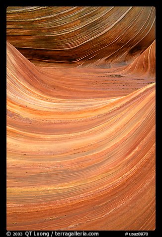 Ondulating sandstone stripes, The Wave. Vermilion Cliffs National Monument, Arizona, USA