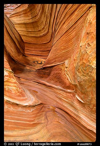 The Wave, side formation. Vermilion Cliffs National Monument, Arizona, USA