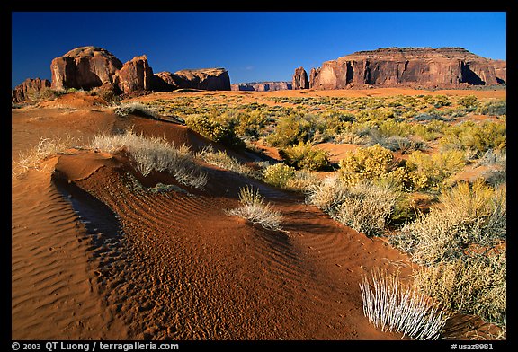 Sand dune and mesas, late afternoon. Monument Valley Tribal Park, Navajo Nation, Arizona and Utah, USA (color)