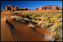 Sand dune and mesas, late afternoon. Monument Valley Tribal Park, Navajo Nation, Arizona and Utah, USA ( color)
