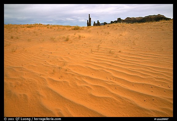 Pink sand and Yei bi Chei. Monument Valley Tribal Park, Navajo Nation, Arizona and Utah, USA