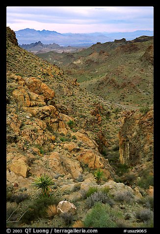 Desert mountains. Arizona, USA