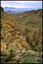 Desert mountains. Arizona, USA (color)