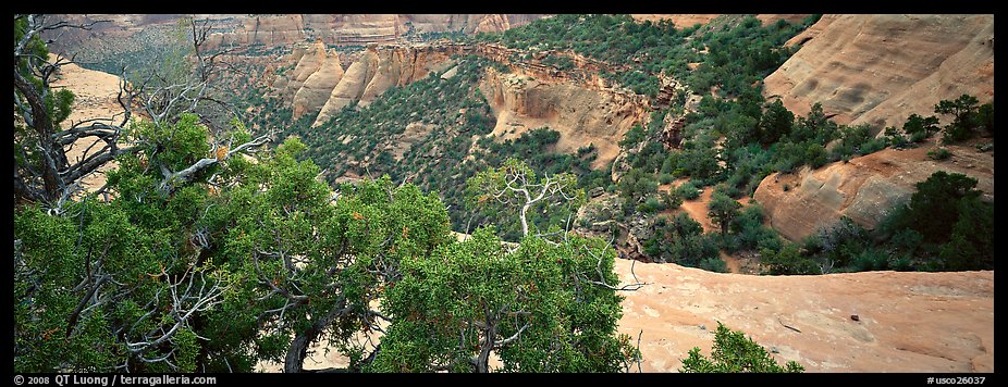 Mesa landscape. Colorado National Monument, Colorado, USA (color)