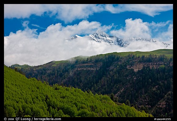 Snowy Mt Wilson emerging from clouds in the spring. Colorado, USA