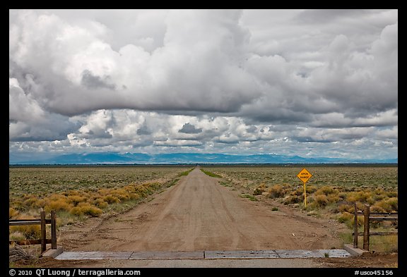 Cattle guard and straight dirt road. Colorado, USA (color)