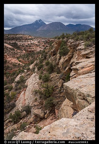 Sand Canyon and Sleeping Ute Mountain. Canyon of the Anciens National Monument, Colorado, USA (color)