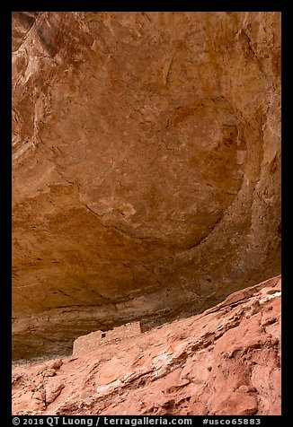 Cliff dwelling under Entrada Sandstone alcove roof. Canyon of the Ancients National Monument, Colorado, USA (color)