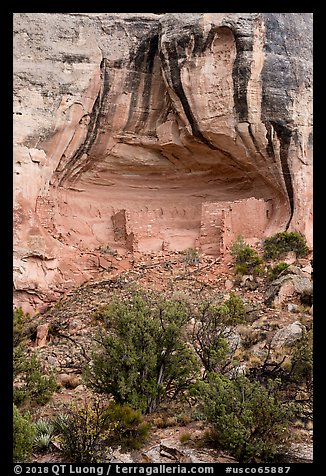 Sunny Alcove. Canyon of the Anciens National Monument, Colorado, USA (color)