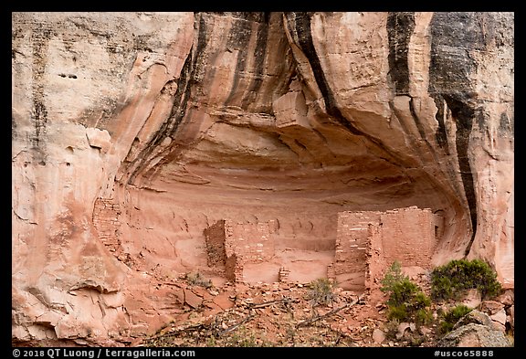 Sunny Alcove cliff dwelling. Canyon of the Anciens National Monument, Colorado, USA (color)