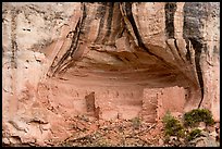 Sunny Alcove cliff dwelling. Canyon of the Ancients National Monument, Colorado, USA ( color)