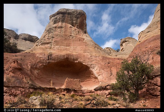 Saddlehorn Hamlet. Canyon of the Ancients National Monument, Colorado, USA (color)