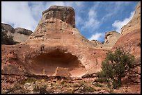 Saddlehorn Hamlet. Canyon of the Ancients National Monument, Colorado, USA ( color)