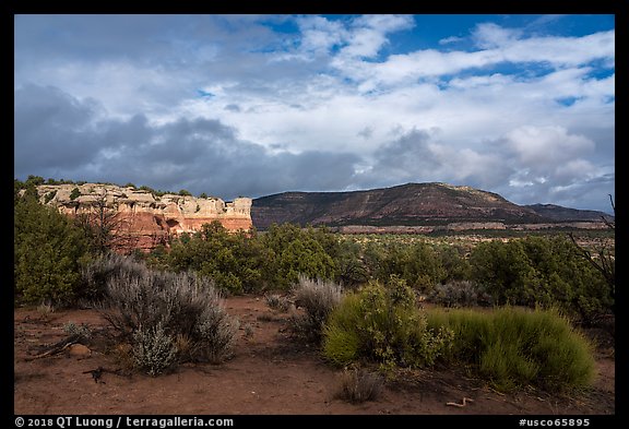 Cliffs and flats. Canyon of the Ancients National Monument, Colorado, USA (color)
