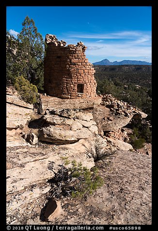 Tower, Painted Hand Pueblo tower. Canyon of the Ancients National Monument, Colorado, USA