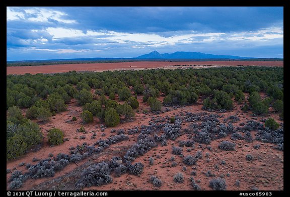 Aerial view of flats and Ute Mountain, evening. Canyon of the Ancients National Monument, Colorado, USA