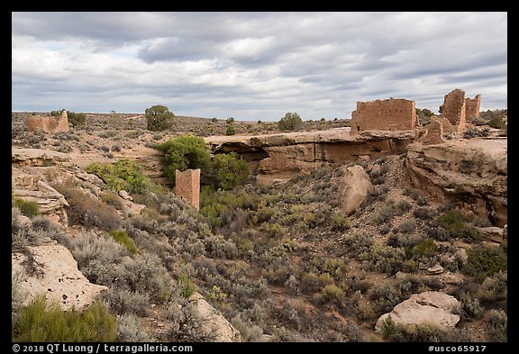 Little Ruin Canyon with Square Tower and Hovenweep House. Hovenweep National Monument, Colorado, USA