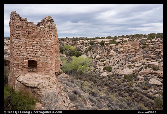 Twin Towers and  Little Ruin Canyon. Hovenweep National Monument, Colorado, USA (color)